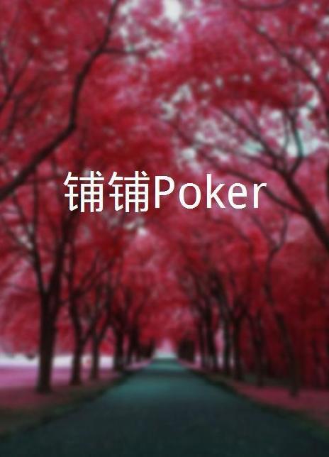 铺铺Poker第13集